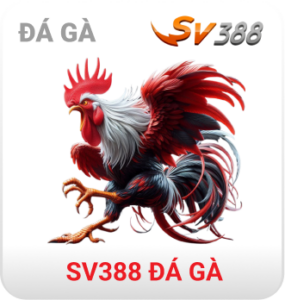 sv388 đá gà